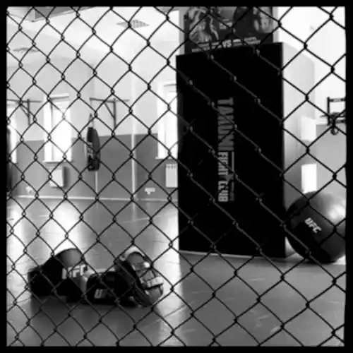 ufc зал чб